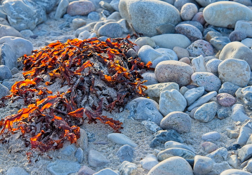 Photo trip and courses